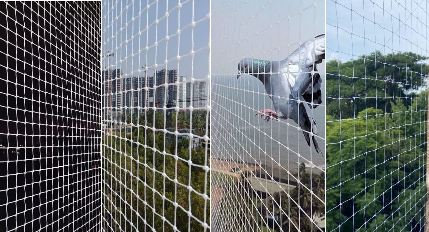 Pigeon Net Installation