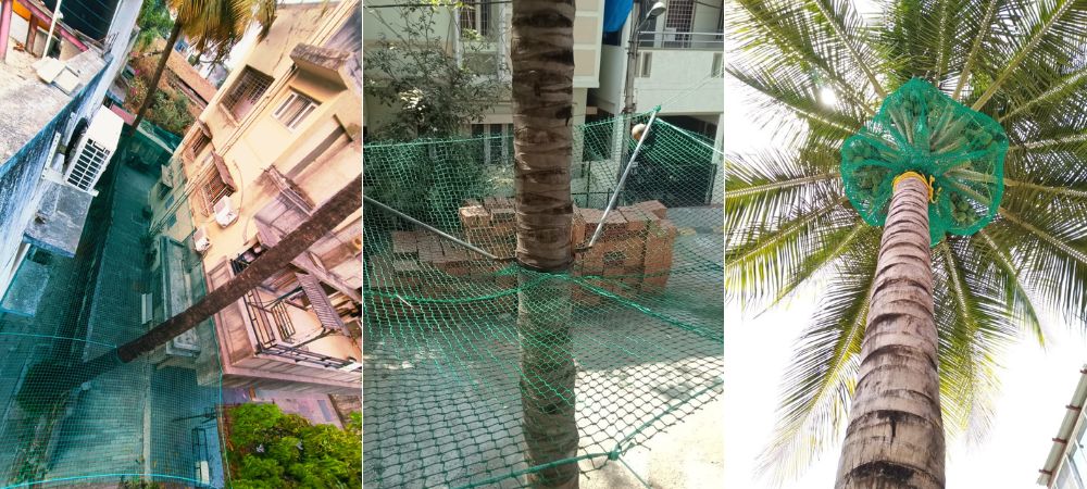 Coconut Safety Nets Installation Bangalore